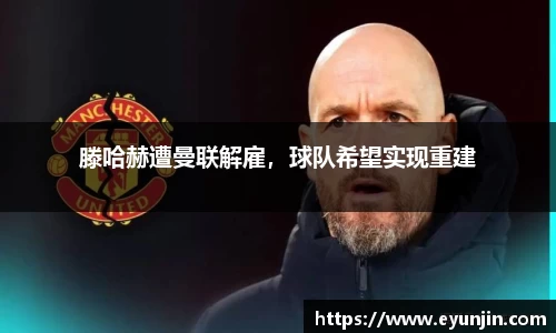 k1体育官方网站